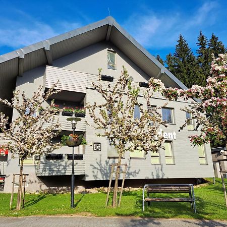 Wellness Apartment Josefina - Free Grotta Spa Wellness Harrachov Εξωτερικό φωτογραφία