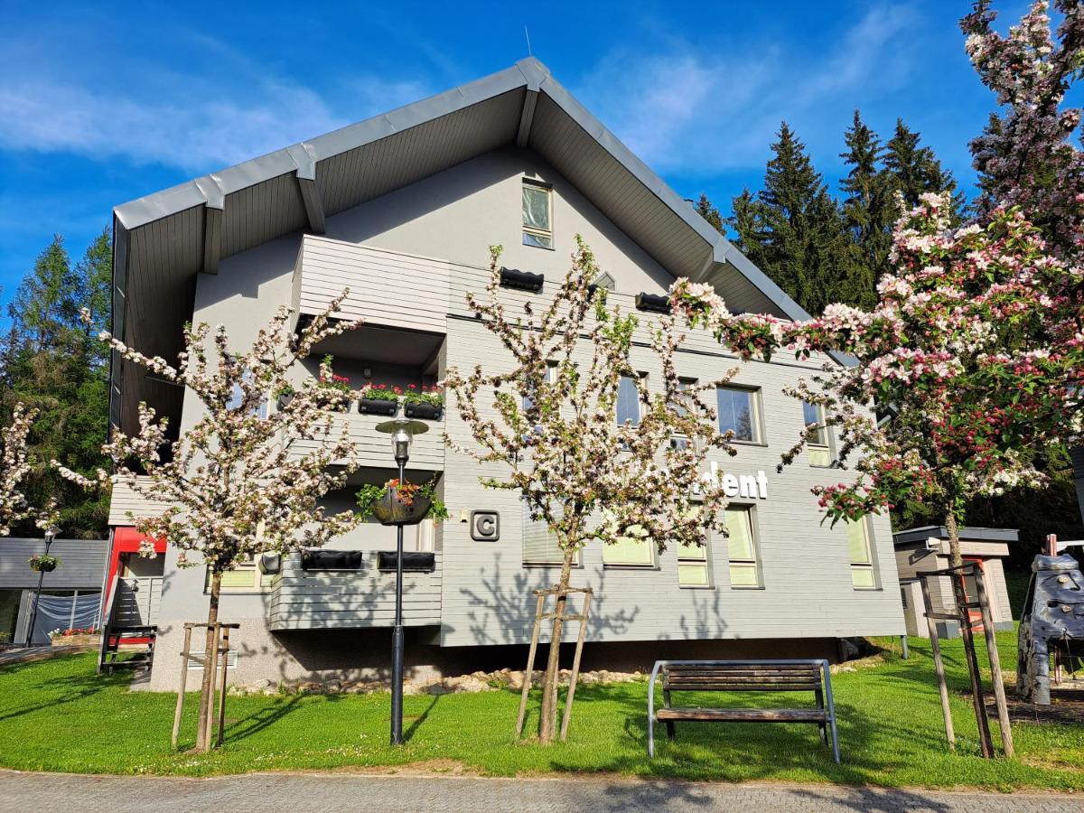 Wellness Apartment Josefina - Free Grotta Spa Wellness Harrachov Εξωτερικό φωτογραφία